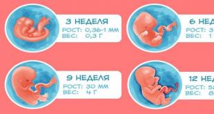Все триместры беременности по неделям с указанием самых опасных периодов Триместры по месяцам